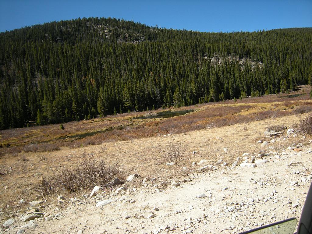 fall09 040